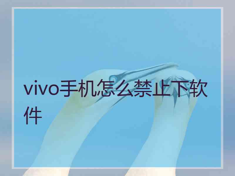 vivo手机怎么禁止下软件