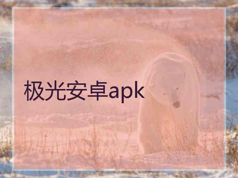 极光安卓apk