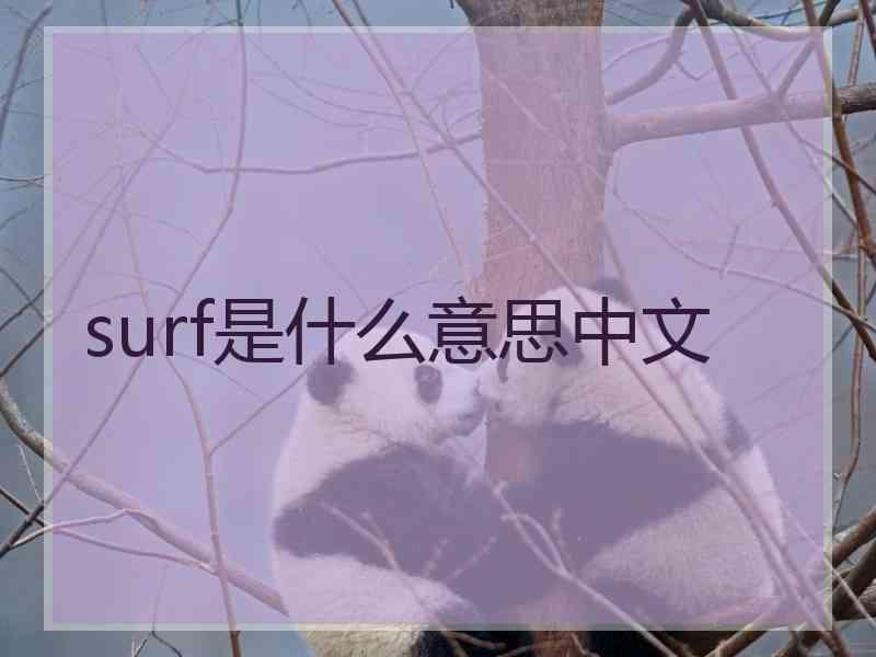 surf是什么意思中文