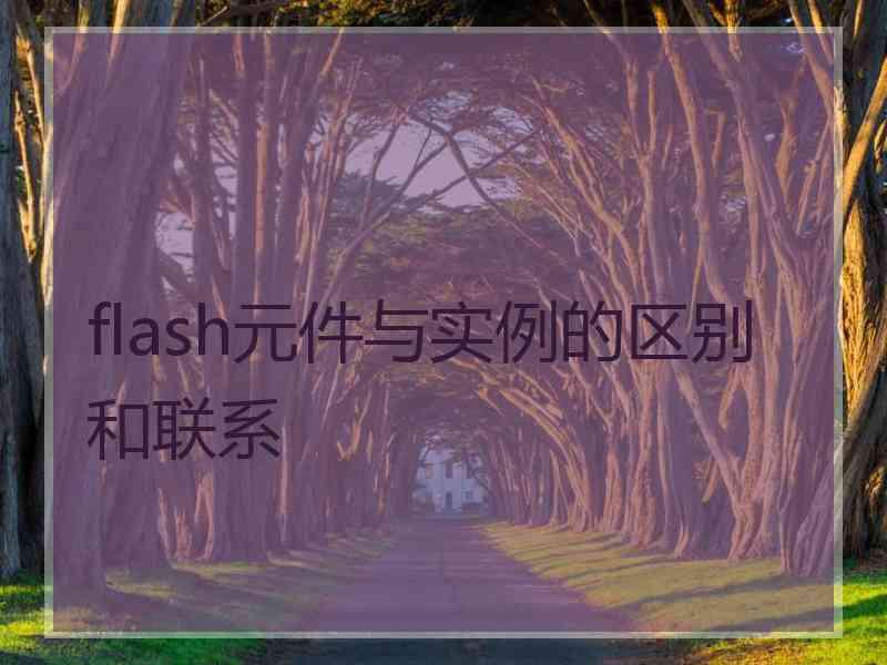 flash元件与实例的区别和联系