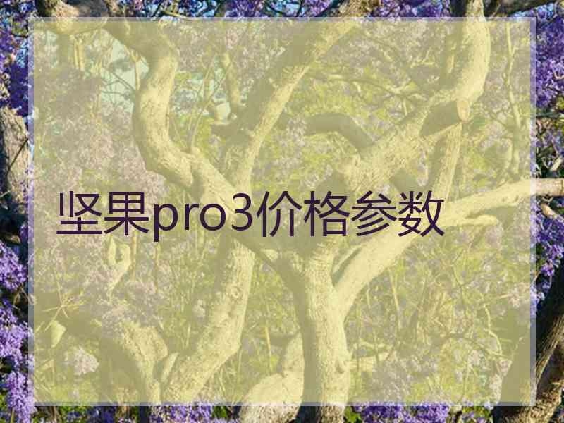 坚果pro3价格参数