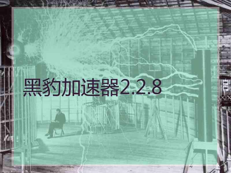 黑豹加速器2.2.8