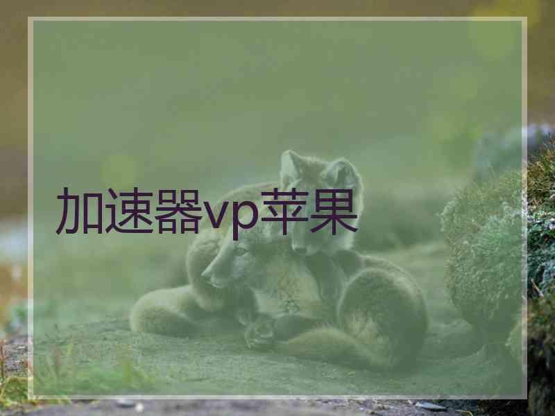 加速器vp苹果