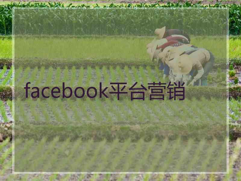 facebook平台营销