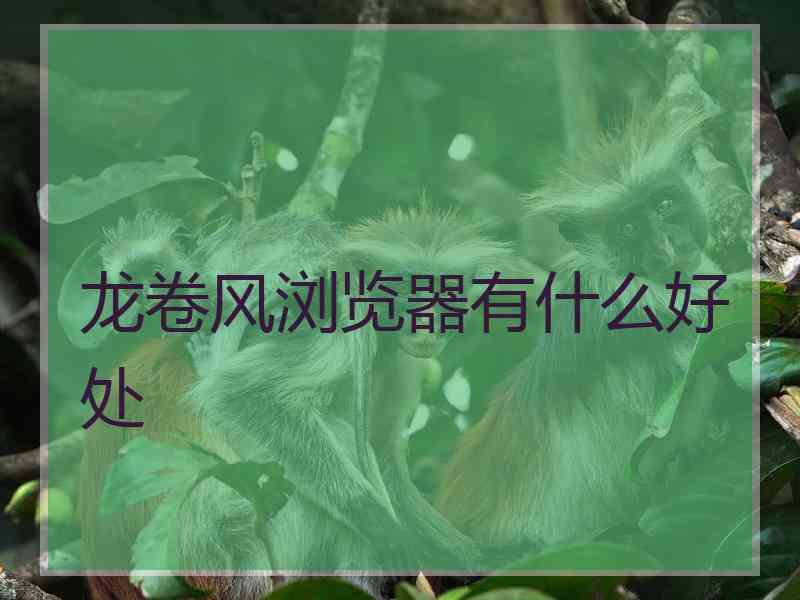 龙卷风浏览器有什么好处