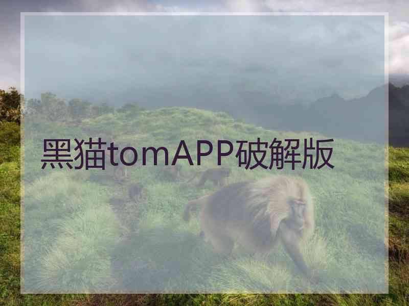 黑猫tomAPP破解版