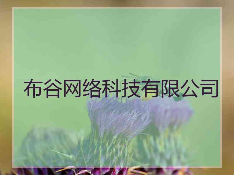 布谷网络科技有限公司