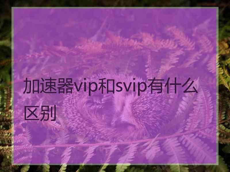 加速器vip和svip有什么区别