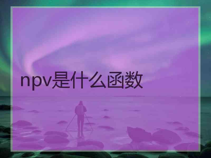 npv是什么函数