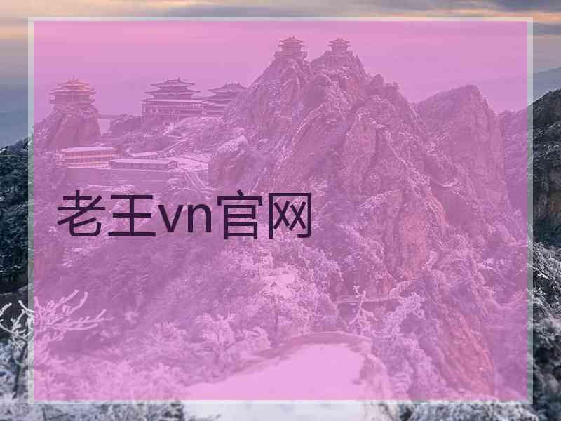 老王vn官网