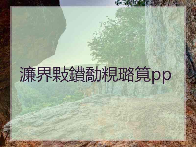 濂界敤鐨勪粯璐筧pp