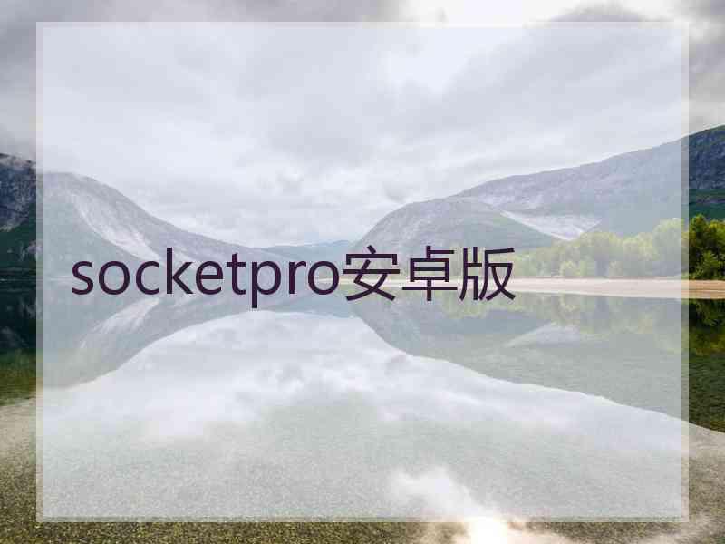 socketpro安卓版