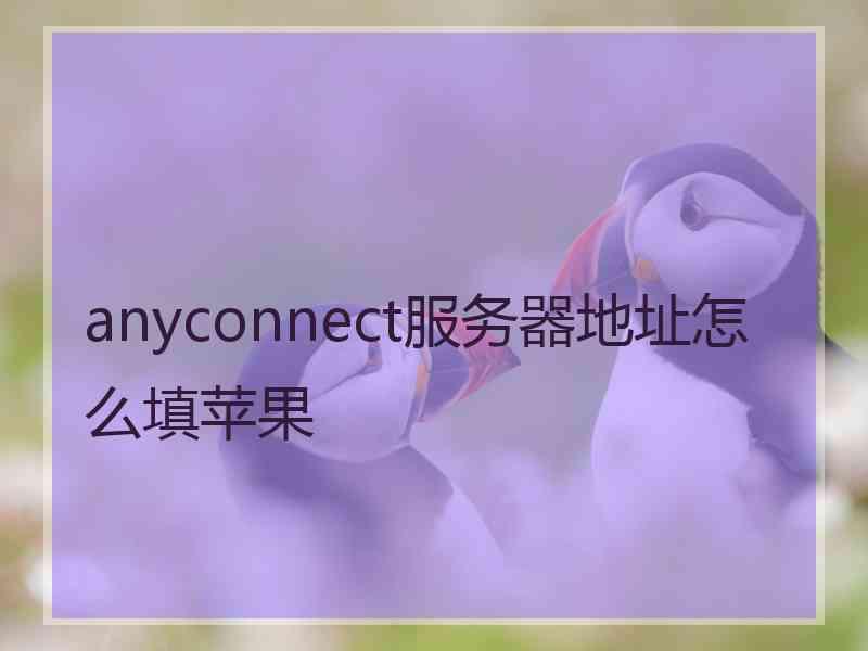 anyconnect服务器地址怎么填苹果