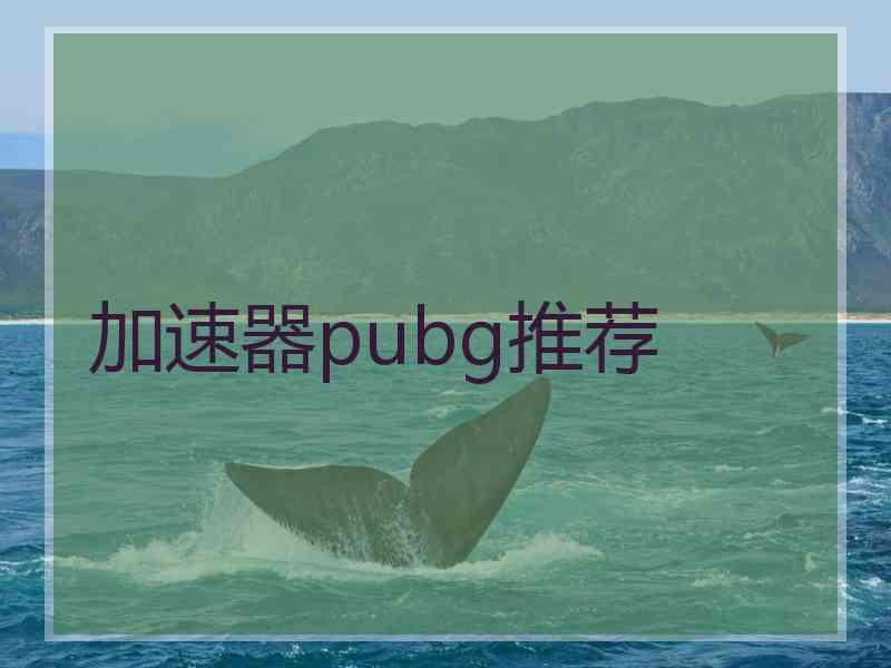 加速器pubg推荐