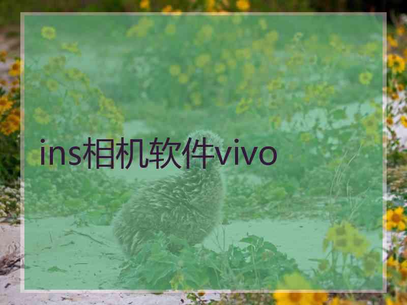 ins相机软件vivo