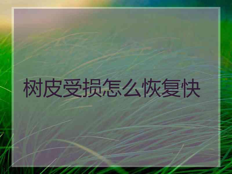 树皮受损怎么恢复快