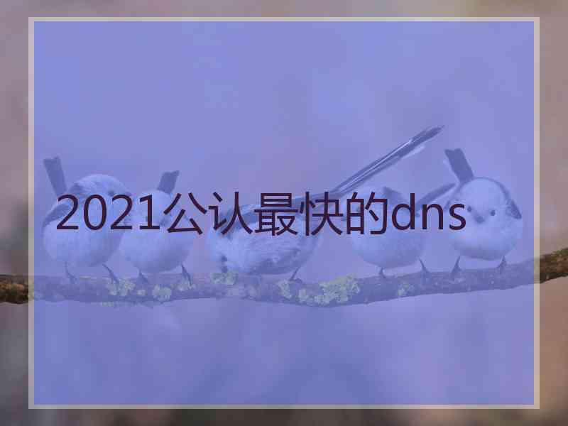 2021公认最快的dns