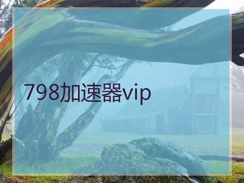 798加速器vip