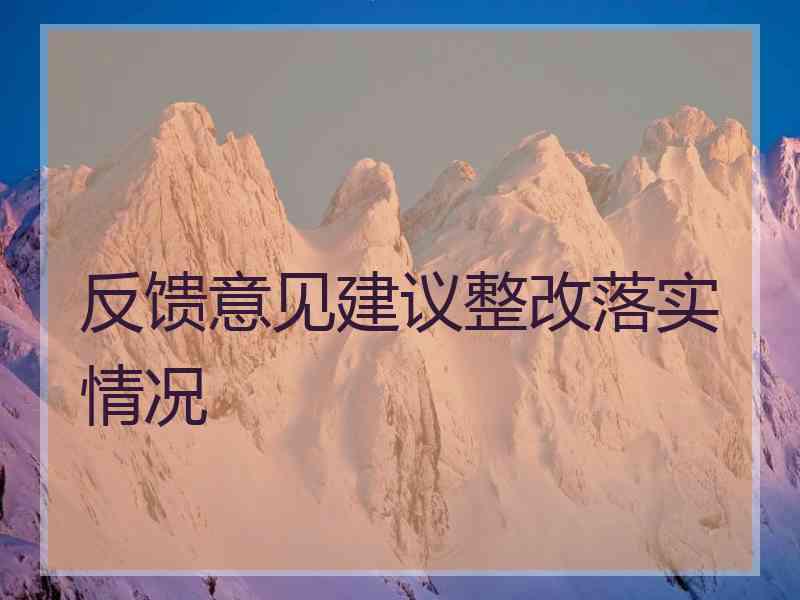 反馈意见建议整改落实情况