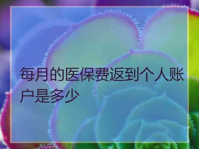 每月的医保费返到个人账户是多少