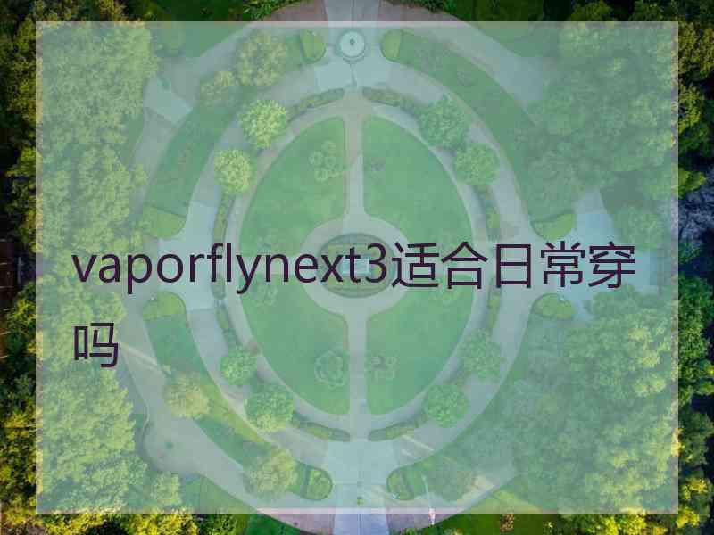 vaporflynext3适合日常穿吗