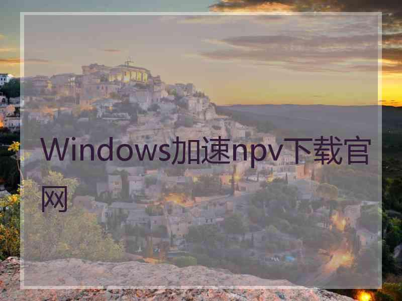 Windows加速npv下载官网