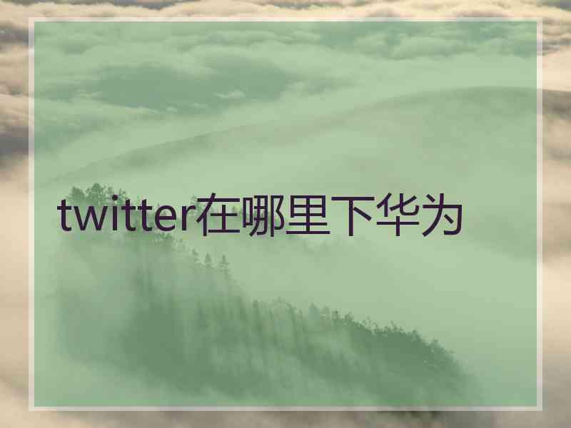 twitter在哪里下华为