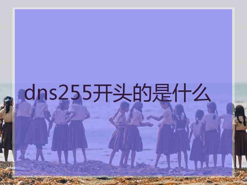 dns255开头的是什么