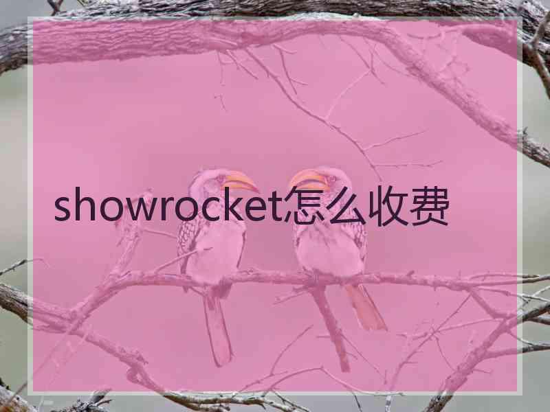 showrocket怎么收费