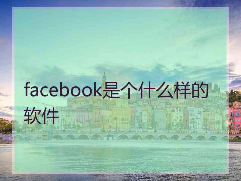 facebook是个什么样的软件