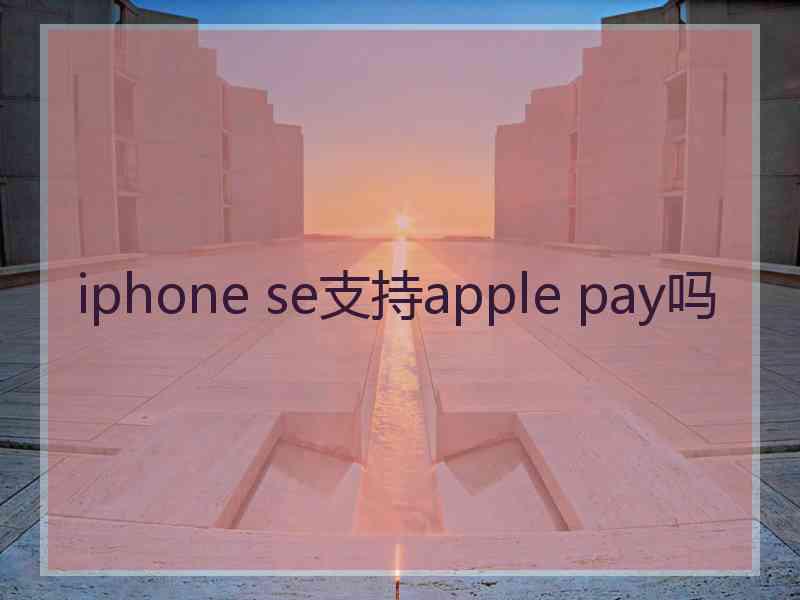 iphone se支持apple pay吗