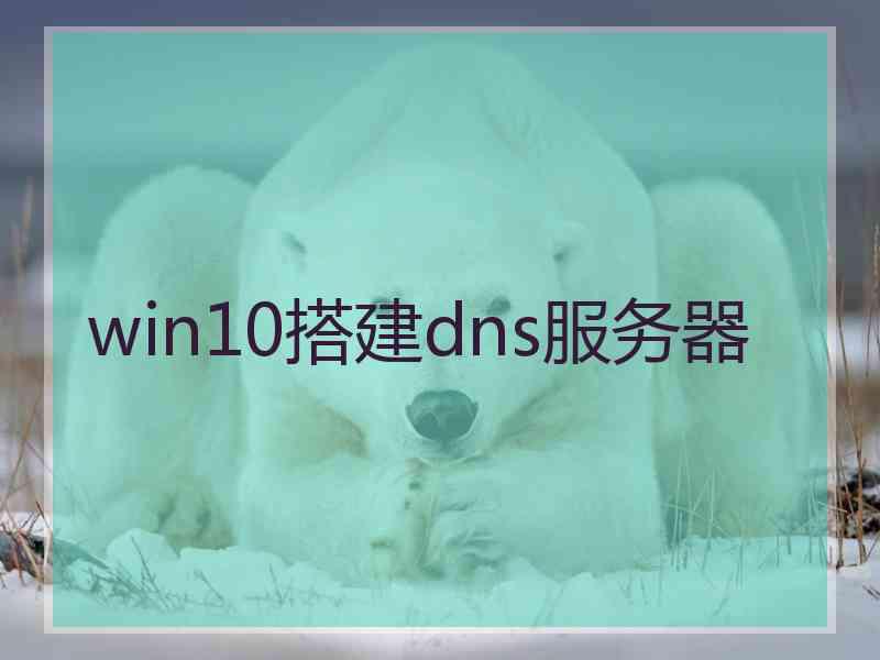 win10搭建dns服务器