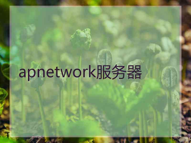 apnetwork服务器