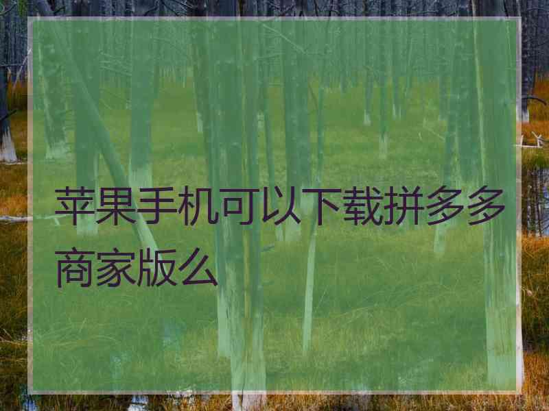 苹果手机可以下载拼多多商家版么