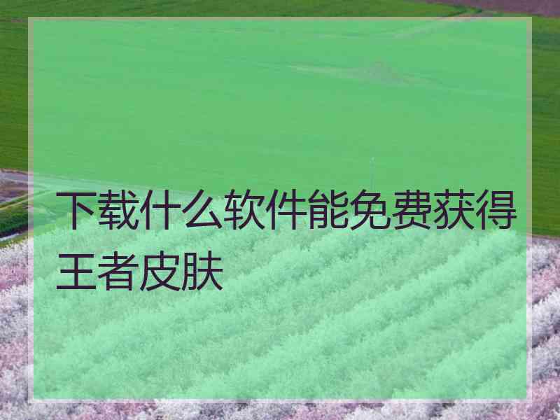 下载什么软件能免费获得王者皮肤