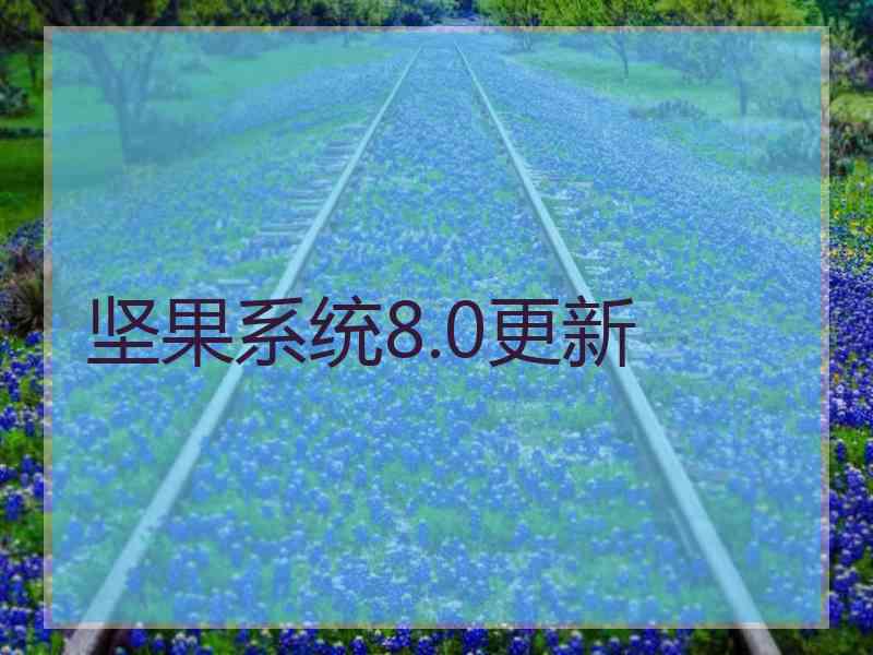 坚果系统8.0更新