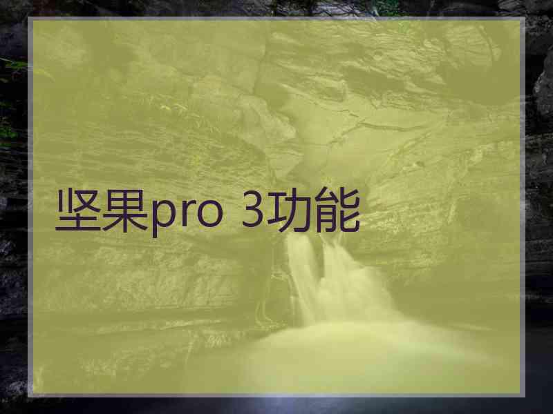 坚果pro 3功能