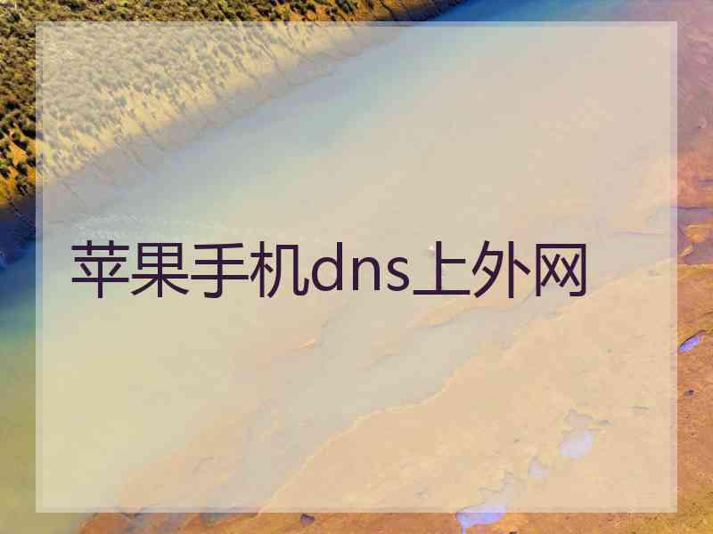 苹果手机dns上外网