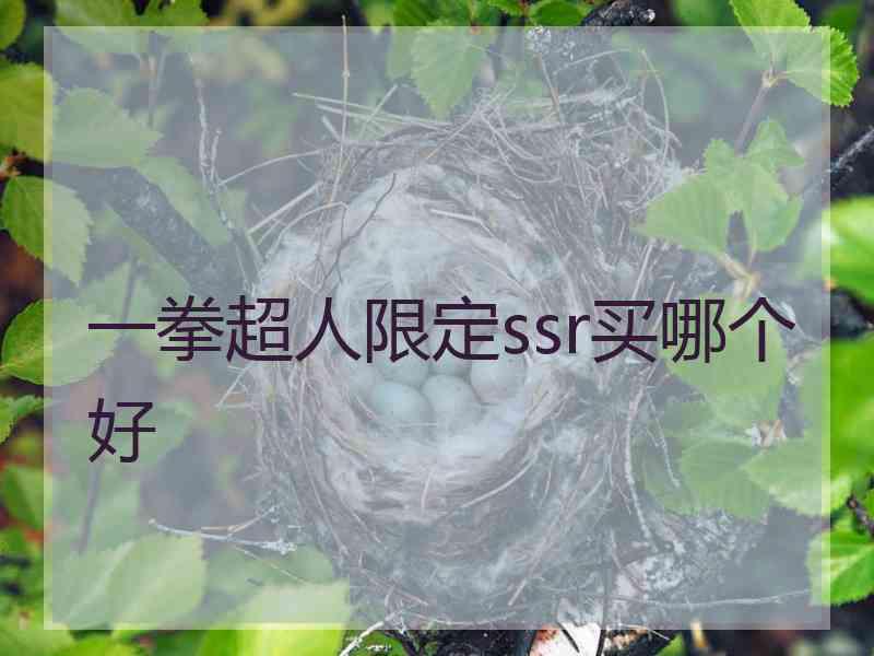 一拳超人限定ssr买哪个好