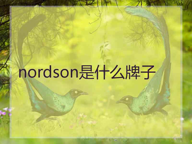 nordson是什么牌子