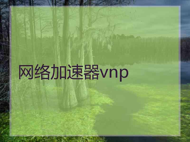 网络加速器vnp