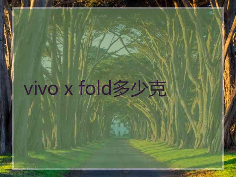 vivo x fold多少克