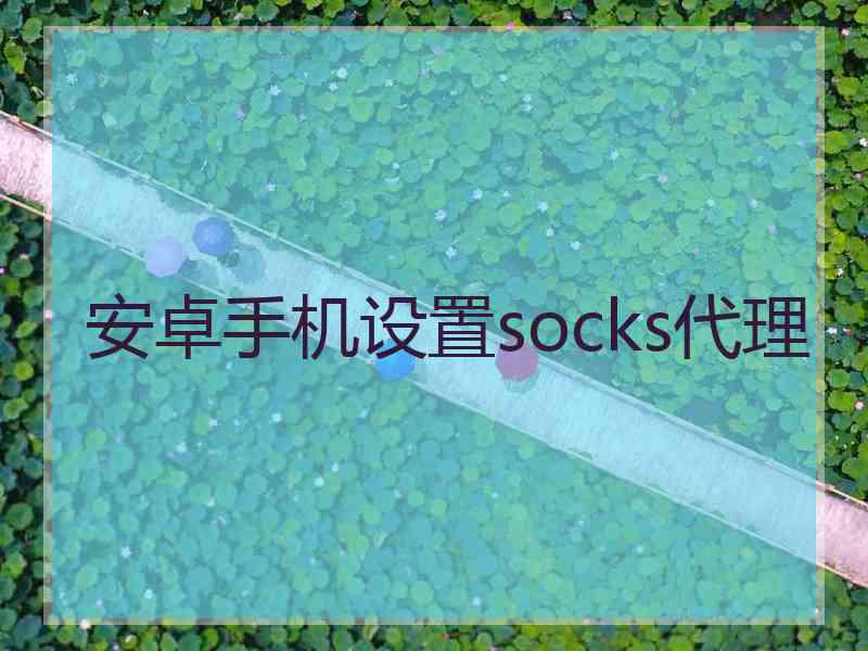 安卓手机设置socks代理