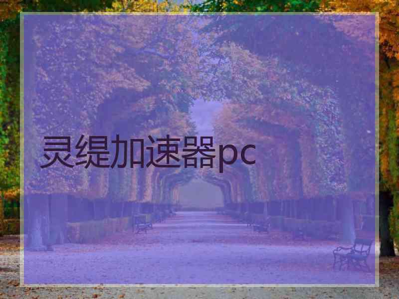 灵缇加速器pc