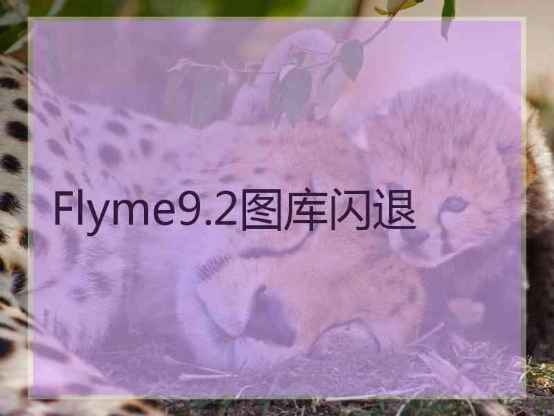 Flyme9.2图库闪退