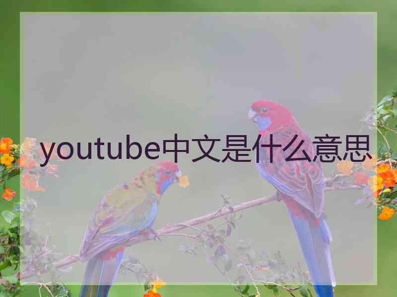 youtube中文是什么意思