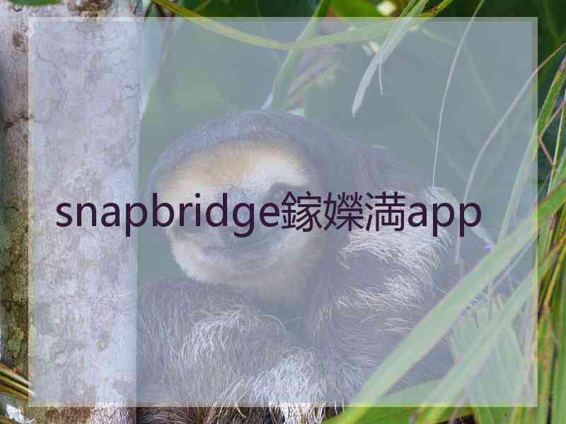 snapbridge鎵嬫満app