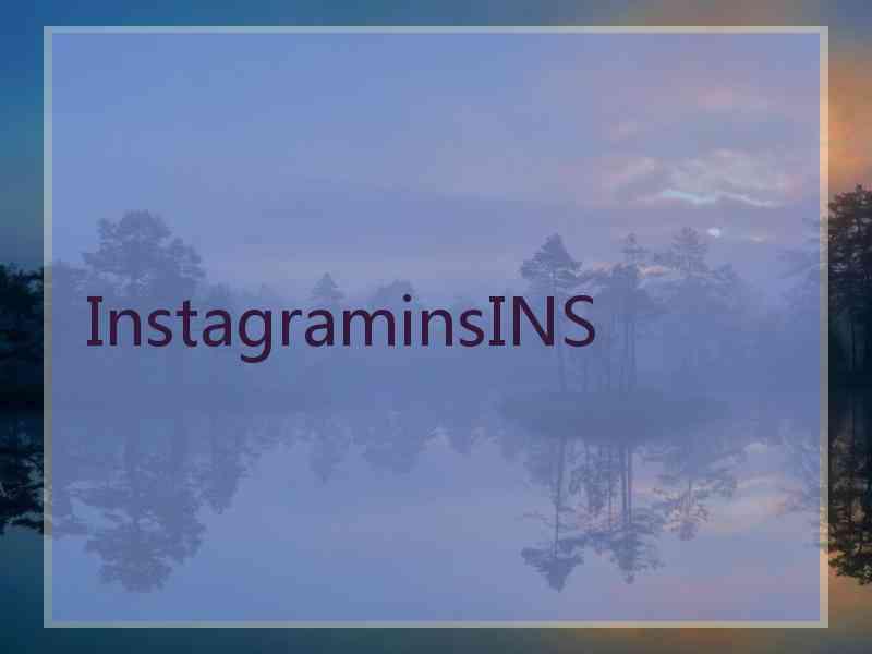 InstagraminsINS