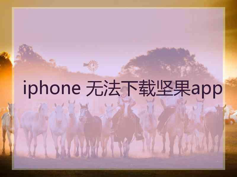 iphone 无法下载坚果app