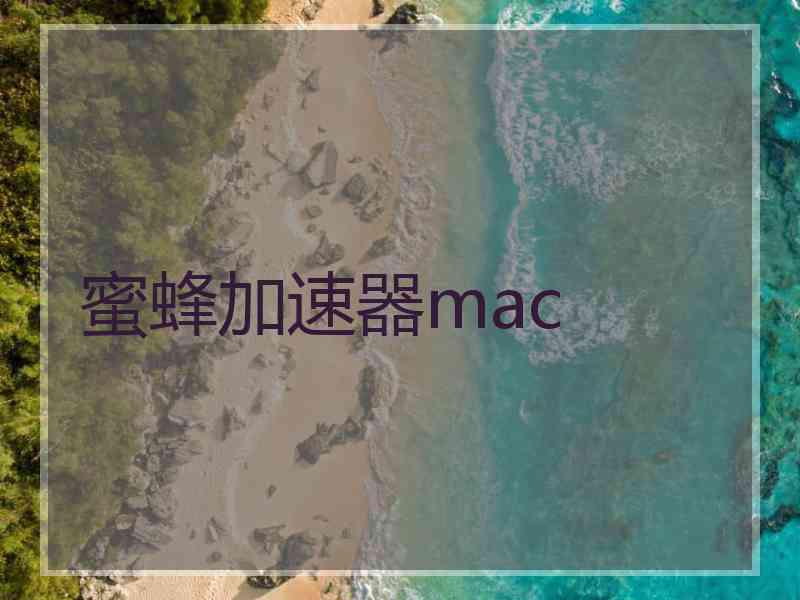 蜜蜂加速器mac